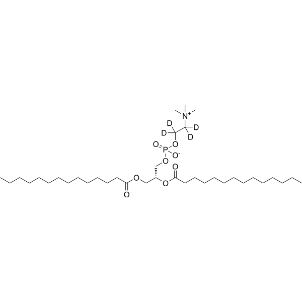 1,2-Dimyristoyl-sn-glycero-3-phosphocholine-d4 185906-01-8